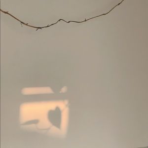 Meet your Posher, Ali